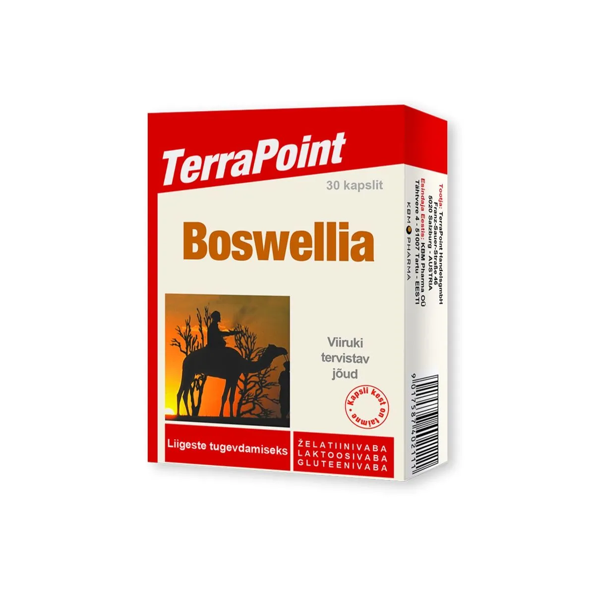 TERRAPOINT BOSWELLIA CAPS N30 - Product Image