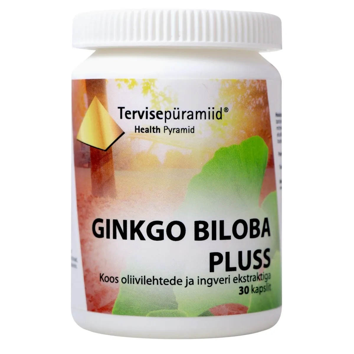 TERVISEPÜRAMIID GINKGO BILOBA PLUSS KAPSLID N30 - Product Image