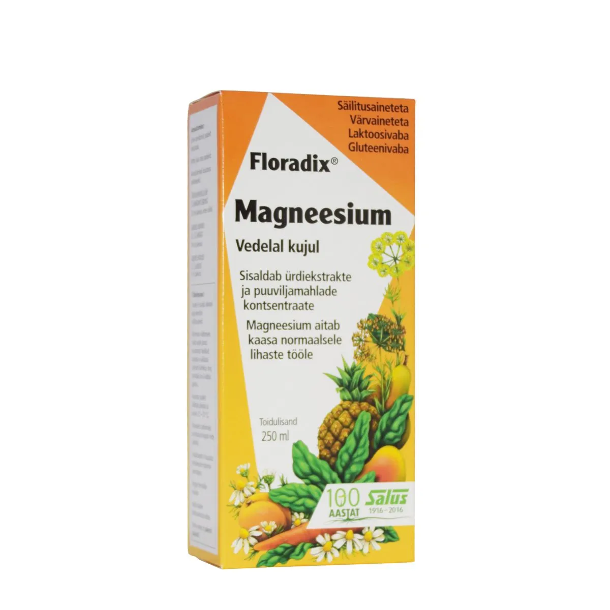 SALUS FLORADIX MAGNEESIUM 250ML ÜRDI-MAHLAKONTSENTRAAT - Product Image